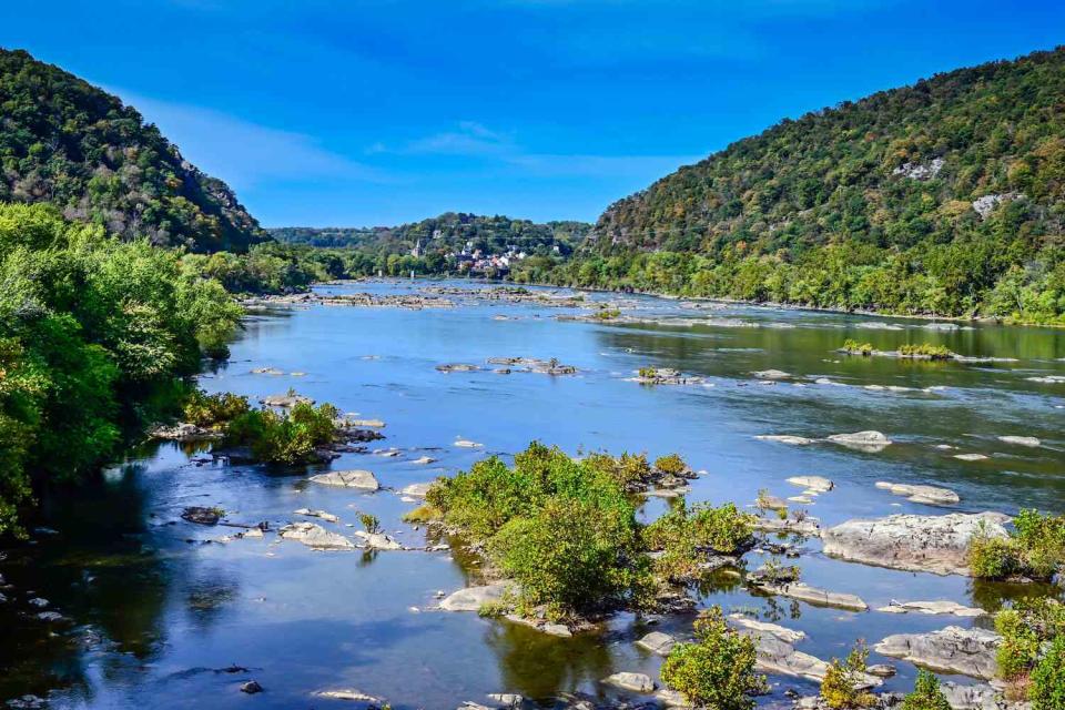 <p>Getty</p> The Potomac River.