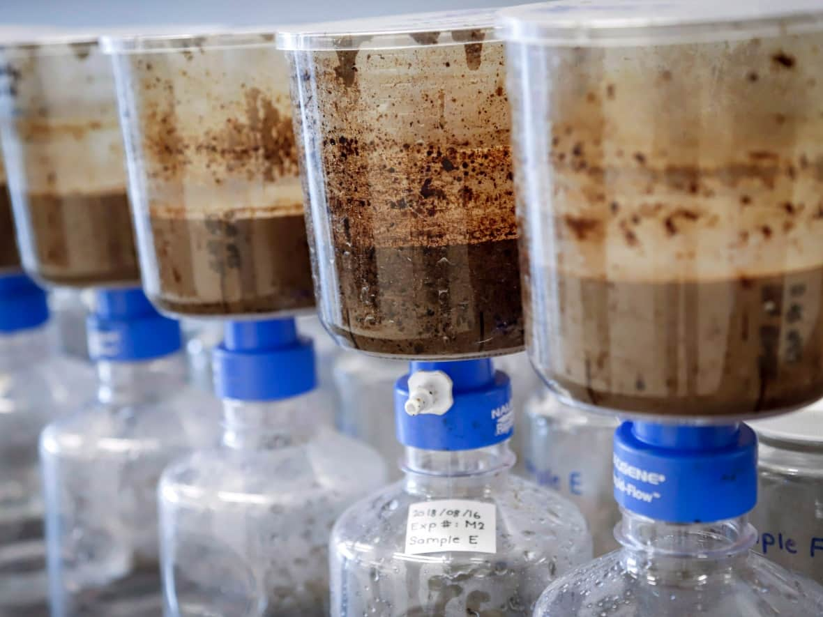 Alberta's energy regulator is confirming that hazardous chemicals are present in a small waterbody after two releases of tailings-contaminated wastewater from Imperial Oil's Kearl oilsands mine. Tailings samples are being tested during a tour of Imperial's oil sands research centre in Calgary on Tuesday, Aug. 28, 2018. (Jeff McIntosh/The Canadian Press - image credit)