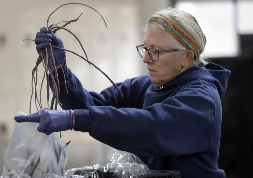 Volunteer Kathy Clusman prepares Dragon Tail radishes for a food delivery on Tuesday, October 10, 2023, at Riverview Gardens in Appleton, Wis. Feeding America's Farm Link program purchases produce from local farmers, including Appleton's Riverview Gardens, that farmers then deliver directly to local food pantries within mere miles of the farm. In four years, distribution has grown from 90,285 pounds to 229,747 pounds and helps increase pantry clients' access to healthy, fresh, nutritious produce.
Wm. Glasheen USA TODAY NETWORK-Wisconsin