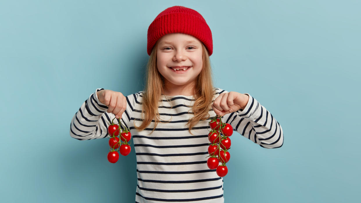Harvesting vegetables concept. Adorable small child in red hat and striped sweater, carries red cherry tomatoes, likes working in garden, eats fresh healthy domestic products, stands indoor.