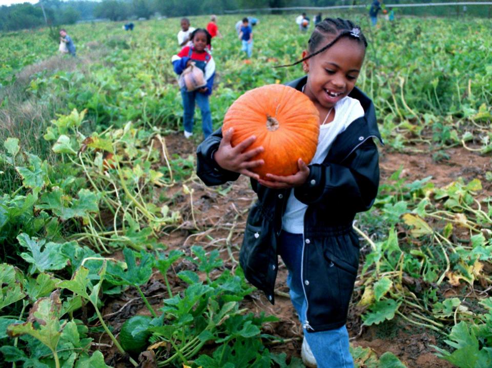Shaterious Porter, 6, carries off her pumpkin from Gentry's Farm in Franklin Oct. 5, 1999.