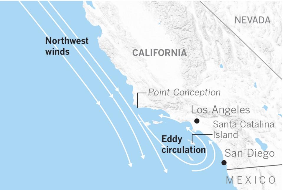 Graphic showing coastal or Catalina eddy formation.