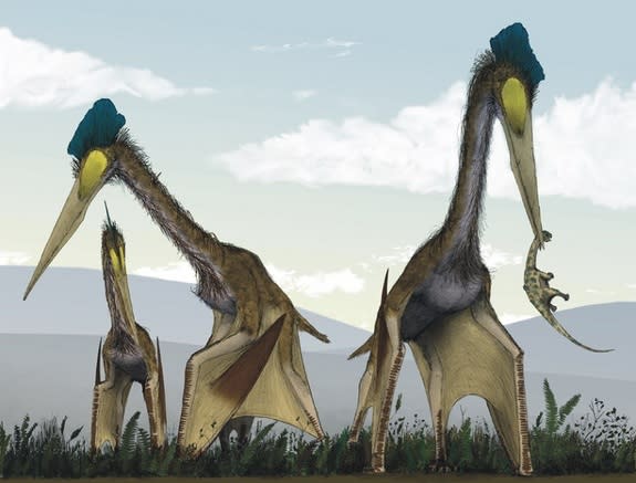 An artist's illustration of the Azhdarchid pterosaur species Quetzalcoatlus northropi