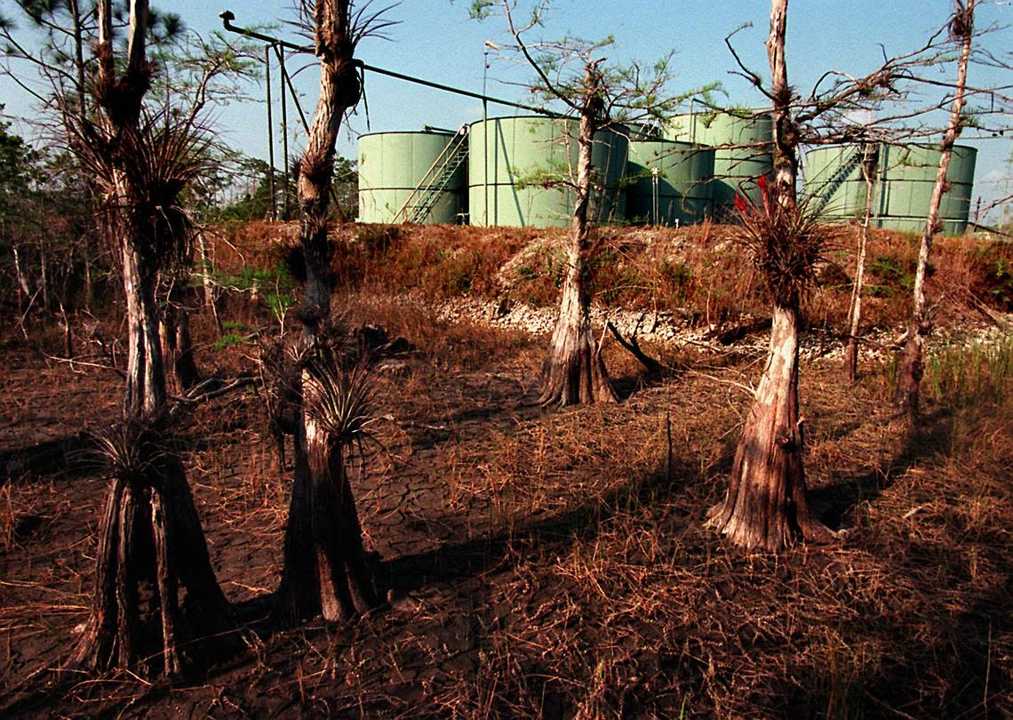A 1999 file photo of the Raccoon Point oil drilling pad within Big Cypress preserve.