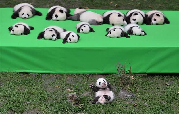 'I'm A-OK' Photo: Getty