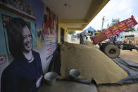 An Indian villager unloads paddy from a truck next to a banner displaying photographs of U.S. Vice President-elect Kamala Harris in Thulasendrapuram, the hometown of Harris' maternal grandfather, south of Chennai, Tamil Nadu state, India, Tuesday, Jan. 19, 2021. The inauguration of President-elect Joe Biden and Vice President-elect Kamala Harris is scheduled be held Wednesday. (AP Photo/Aijaz Rahi)