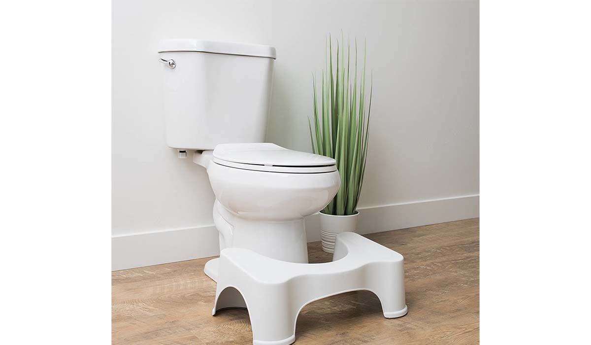 Toilet stool