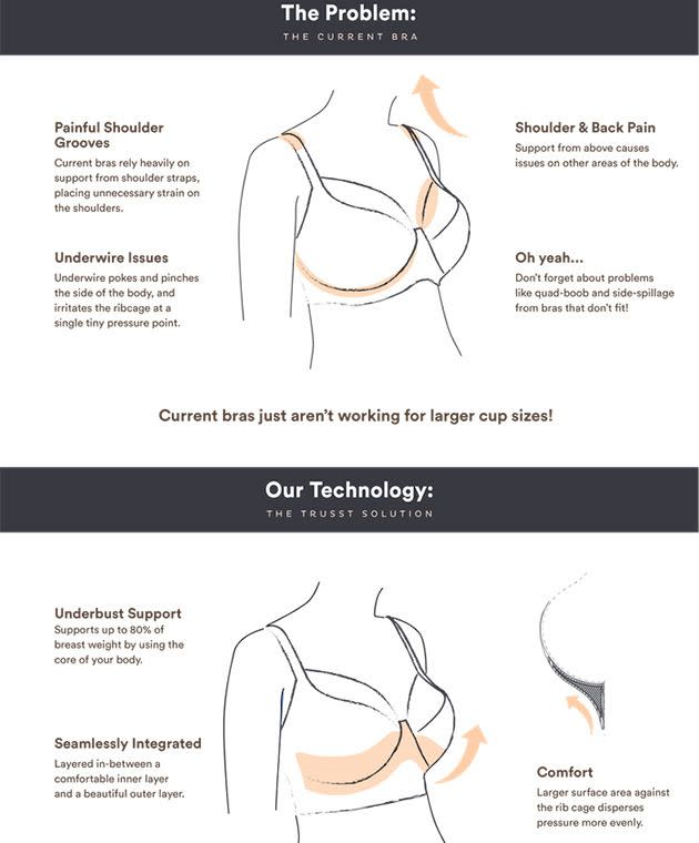 Why are bras so expensive? It's a boob holder. It is literally nothing more  than cups