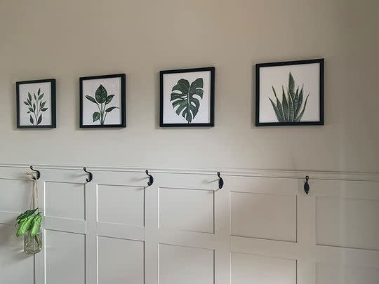 A quartet of framed botanical prints