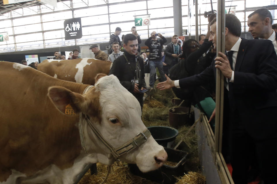 France's President Emmanuel Macron, right, visits the International Agriculture Fair in Paris, France, Saturday, Feb. 23, 2019. Macron pledged Saturday to protect European farming standards and culinary traditions threatened by aggressive foreign trade practices that see food as a "product like any other." (AP Photo/Michel Euler, Pool)