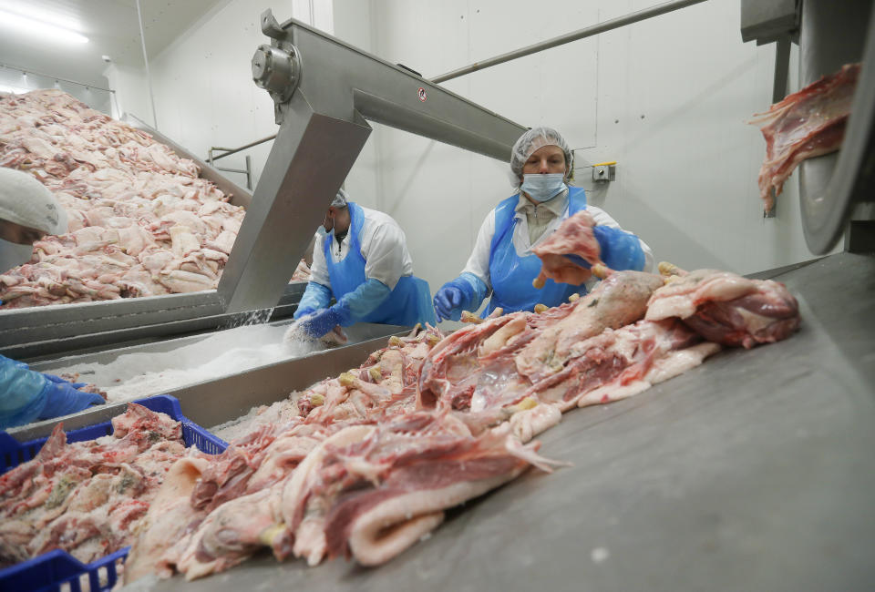 Staff work on the production line of Kosher poultry meat in a Kosher slaughterhouse in Csengele, Hungary on Jan. 15, 2021. The kosher slaughterhouse has increased its exports to Belgium since the European Union’s highest court last month upheld a law that outlawed slaughtering animals without first stunning them into unconsciousness, and Jewish law forbids injuring an animal before it is killed.(AP Photo/Laszlo Balogh)