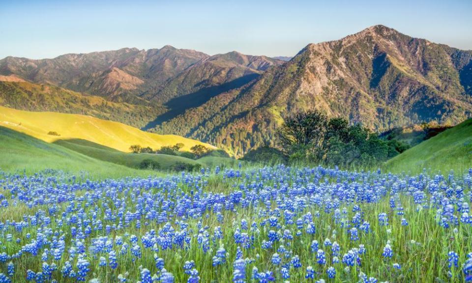 The Adler Ranch in Big Sur on the California coast