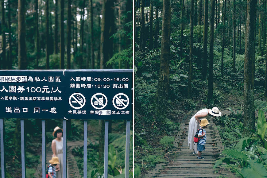 新北三峽｜熊空茶園