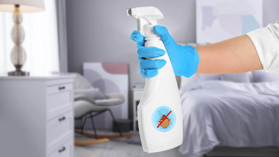 Someone spraying an insecticide indoors while wearing gloves