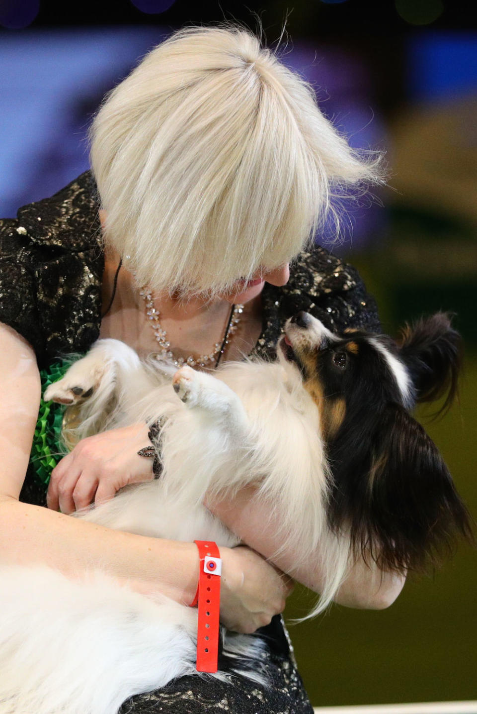 Dylan, a Papillon from Belgium, with owner Kathleen Roosens after winning the best in show during the final day of the Crufts Dog Show 2019 (Picture: PA)