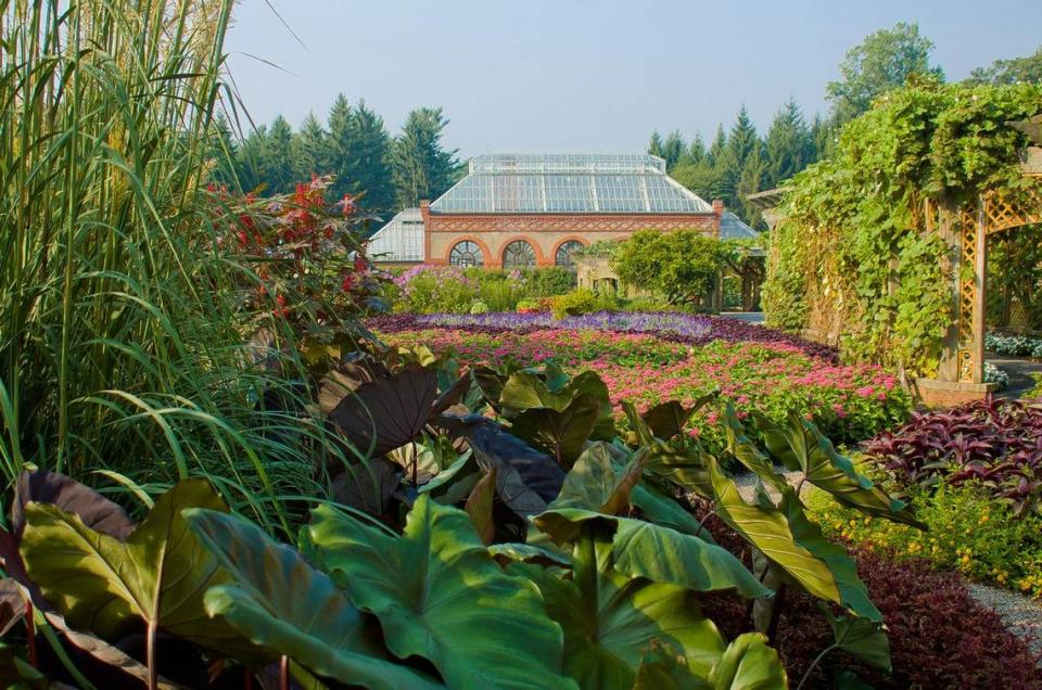 Tropical palm trees and florals in the Walled Gardens during summer at Biltmore Estate.