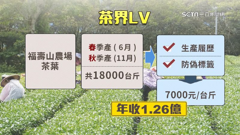 福壽山農場的茶葉每年帶來破億進帳。