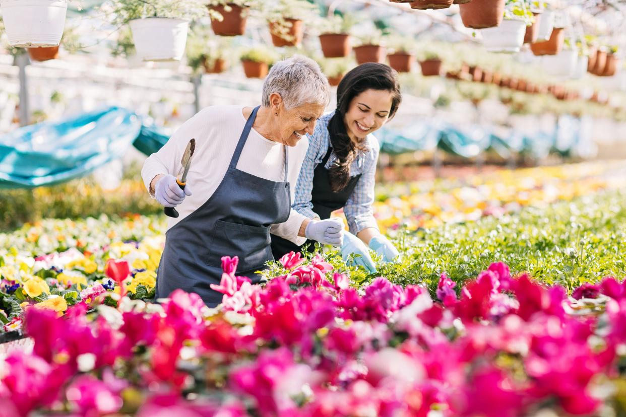 senior woman working with younger woman at gardening store