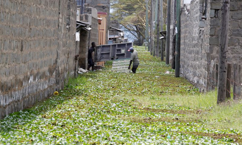 Swollen lake in Kenya's Rift Valley drives villagers from their homes in Naivasha