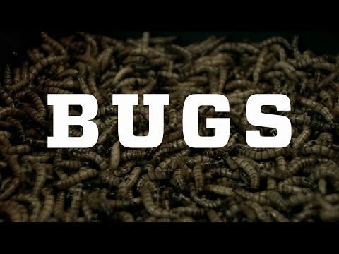 8) Bugs (2016)