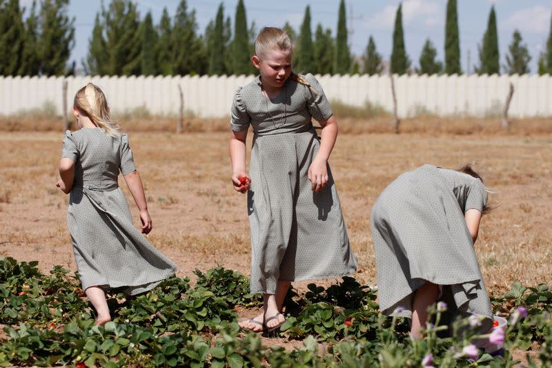 The Wider Image: In Mexico, a decade of images shows Mennonites' traditions frozen in time