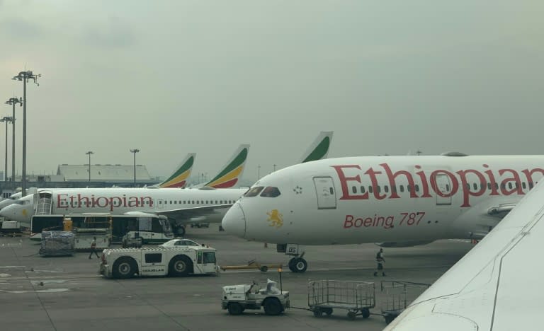 Ethiopian Airlines is the largest airline in Africa (-)