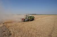 A combine harvester at the middle of a wheat field harvesting crops in Yousifiyah, Iraq Tuesday, May. 24, 2022. At a time when worldwide prices for wheat have soared due to Russia's invasion of Ukraine, Iraqi farmers say they are paying the price for a government decision to cut irrigation for agricultural areas by 50% due to severe water shortages arising from high temperatures, drought, climate change and ongoing water extraction by neighboring countries from the Tigris and Euphrates rivers - all factors that have heavily strained wheat production. (AP Photo/Hadi Mizban)