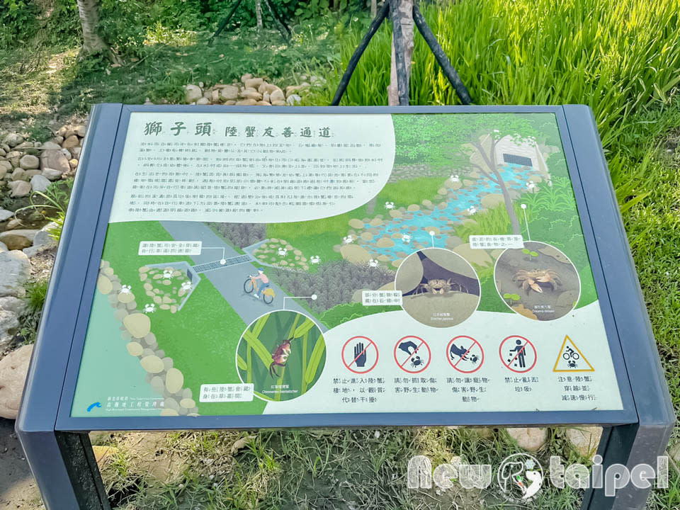 新北市｜五股獅子頭山水匯集廣場