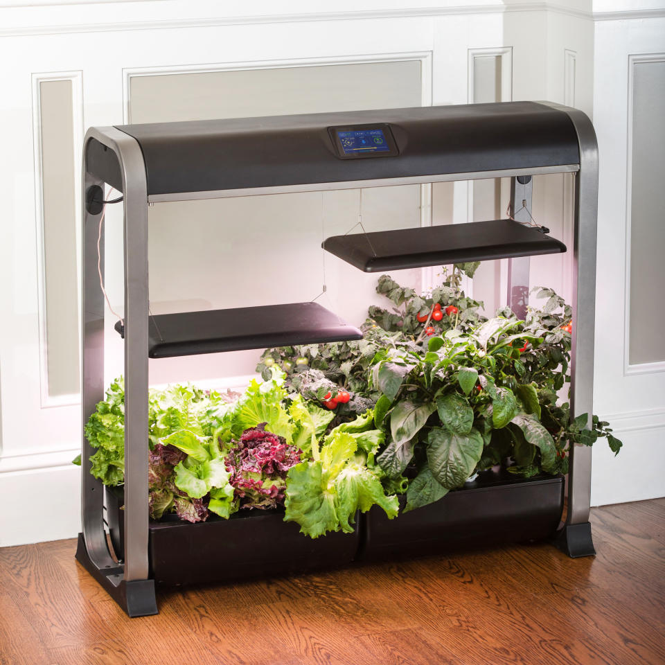 This undated photo provided by AeroGarden shows one of the company's indoor growing systems, the AeroGarden Farm Plus. High-tech growing systems are bringing the joy of gardening even to those without light, know-how or outdoor space. And that's a nice thing in the age of the coronavirus. (AeroGarden via AP)