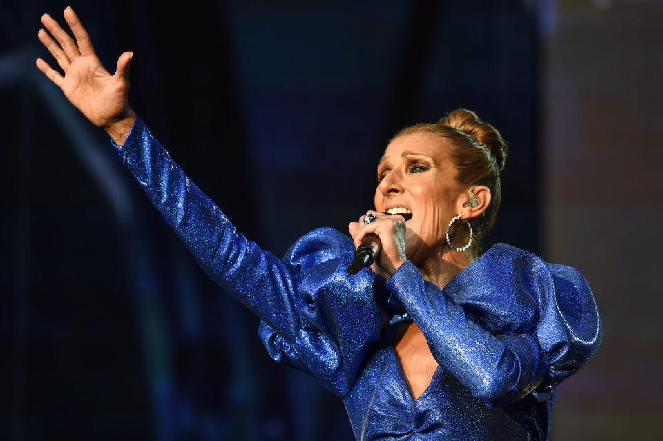 Celine Dion (Brian Rasic / WireImage)