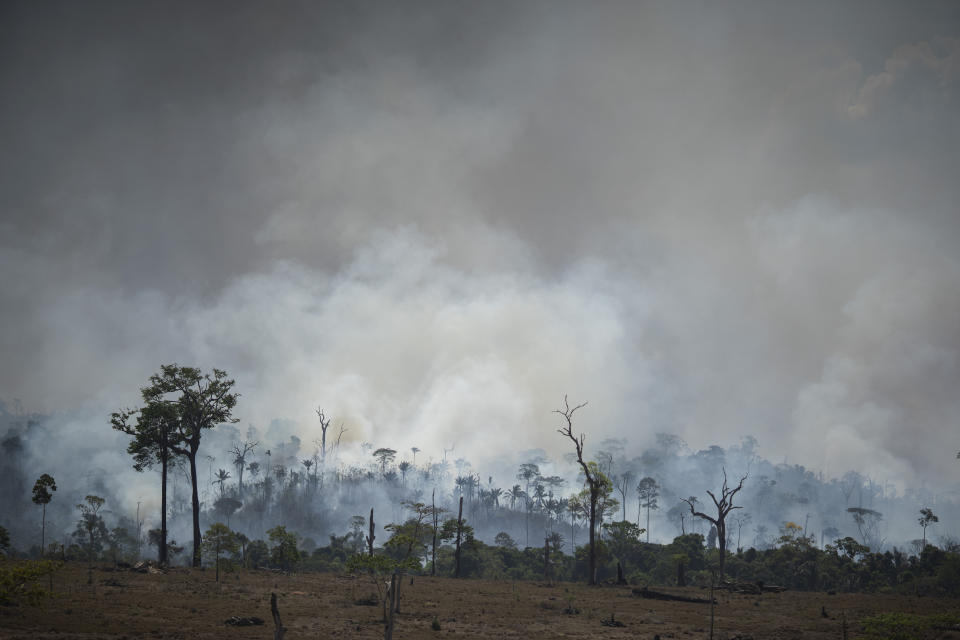 Fire consumes the Amazon rainforest in Altamira, Brazil, Tuesday, Aug. 27, 2019. Fires across the Brazilian Amazon have sparked an international outcry for preservation of the world's largest rainforest. (AP Photo/Leo Correa)