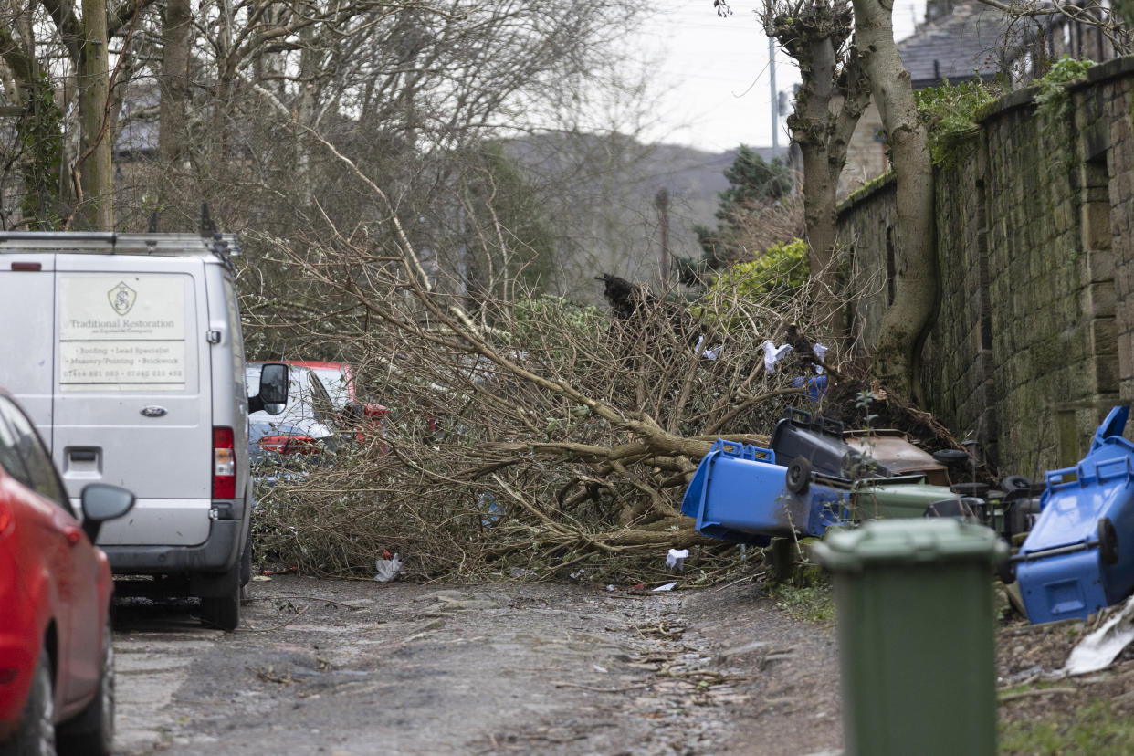 STALYBRIDGE, ENGLAND - DECEMBER 28: Fallen trees block a street in the aftermath of a tornado on December 28, 2023 in Stalybridge, England. Houses in the Tameside area of Greater Manchester have been damaged by a localised tornado during Storm Gerrit. Police declared a major incident last night as roofs were torn off the houses and trees uprooted, but no reported injuries. (Photo by Ryan Jenkinson/GettyImages)