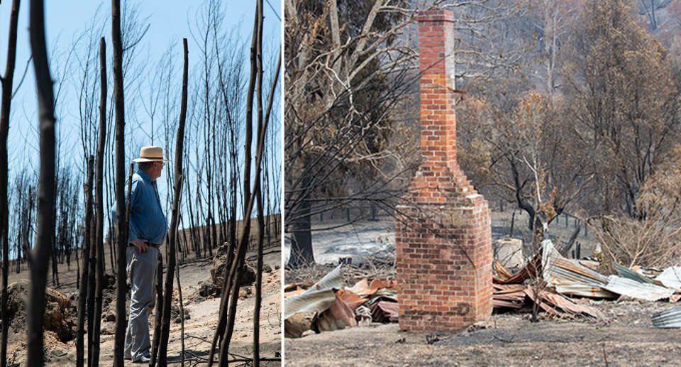 Split screen. Left shows a side view of Peter Hylands in the forest. Right is a home destroyed by the fires. Only a chimney survives.