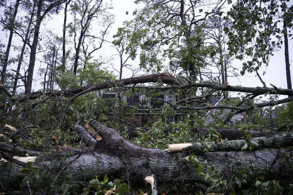 A house sits surrounded by felled trees as a result of a late afternoon storm that brought severe damage to the Great Neck section of Virginia Beach, Va., on Sunday, April 30, 2023. (Billy Schuerman/The Virginian-Pilot via AP)