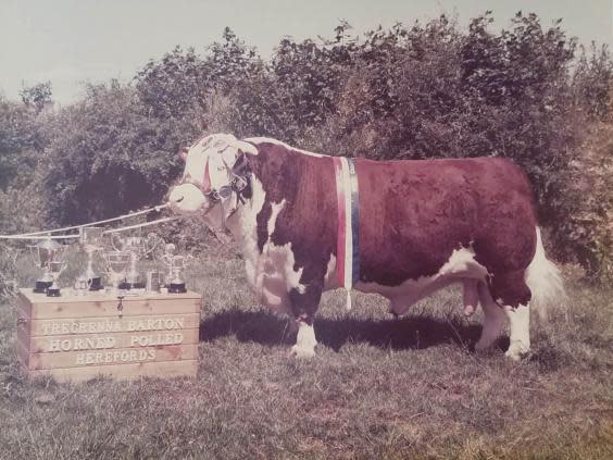 The British farmers producing top quality food and taking on intensive farming – and veganism