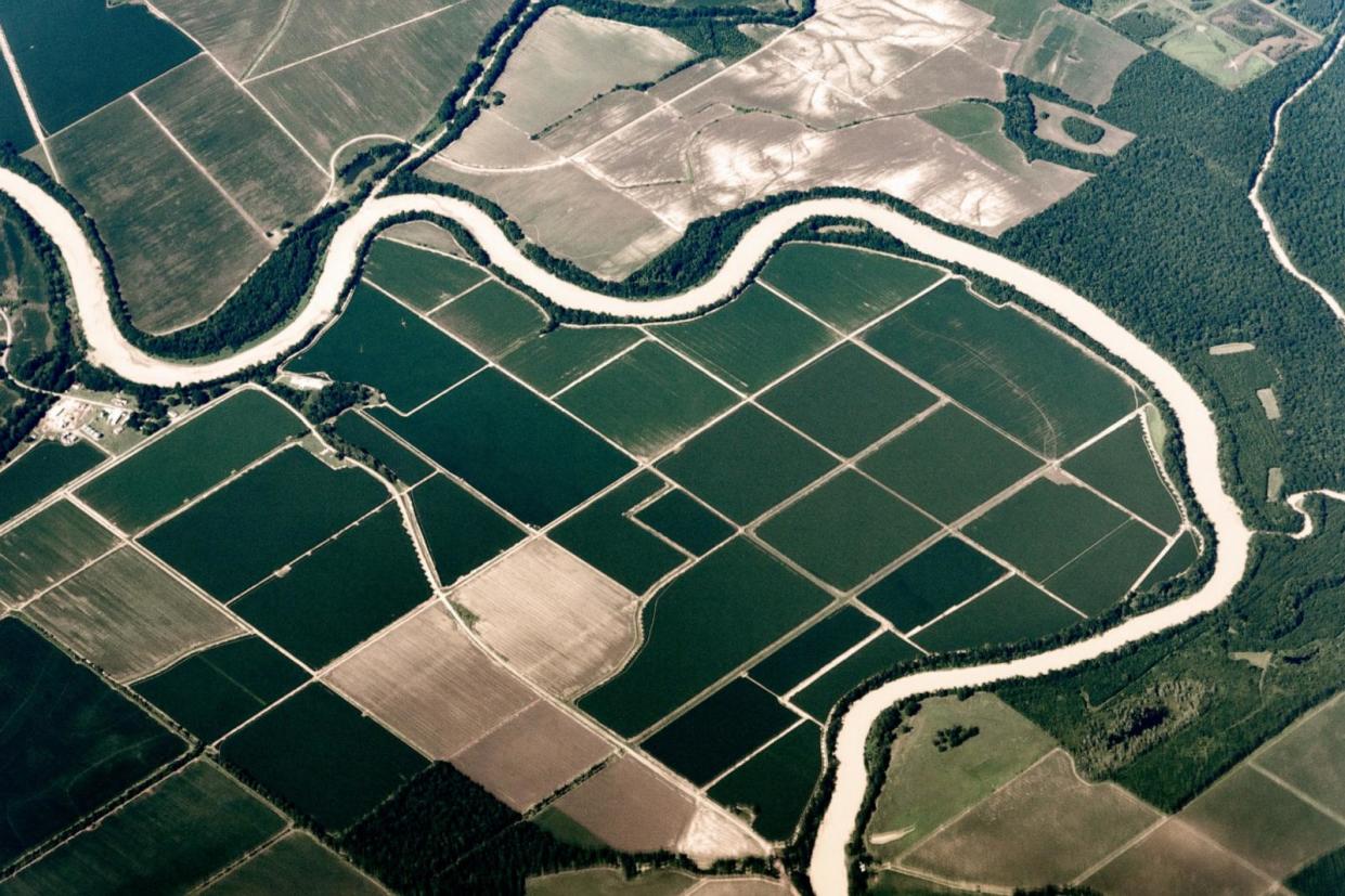 PHOTO: Meandering river and agriculture. Big Sunflower River near Murphy, Mississippi (Marli Miller/UCG/Universal Images Group via Getty Images)