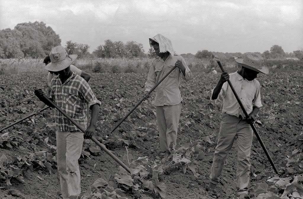 ‘Grand Marie Farmers Cooperative, Lafayette’, Louisiana, 1969 (Courtesy Doris Derby  and MACK)