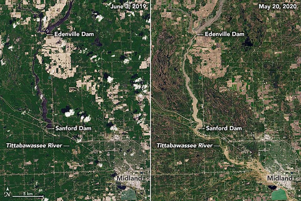 These natural-color images show flooding across Midland County as observed by the Operational Land Imager (OLI) on Landsat 8. The pair show the Tittabawassee River on May 20, 2020 (right), compared to June 3, 2019 (left).