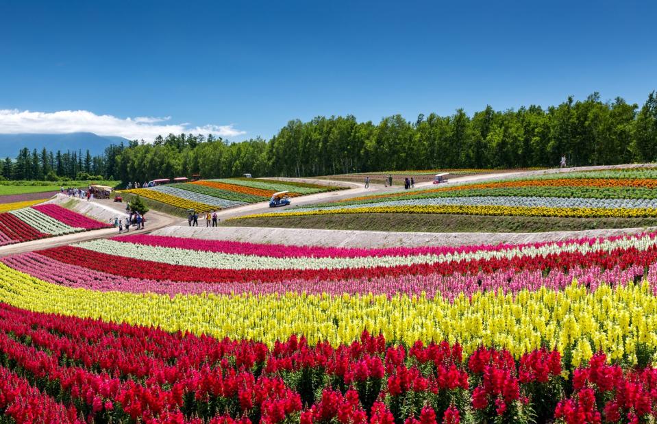 Best time to visit Japan