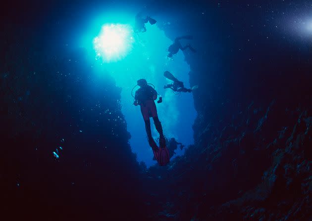 These divers clearly don't have thalassophobia.
