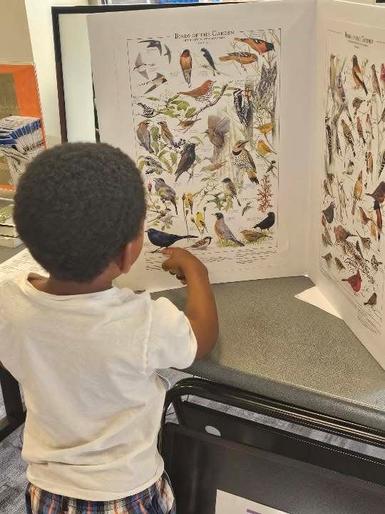 A child looks at a poster with information about birds at the Planet Protectors: Celebrating our Earth event at the Anderson County Library on April 20.