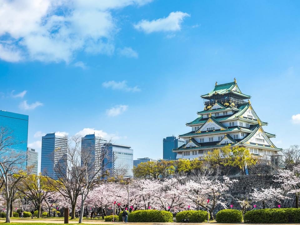 Anold building among cherry blossoms and new high rises.