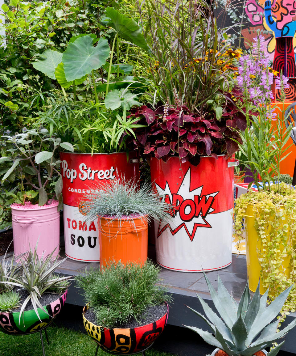 colourful pots filled with plants on a patio