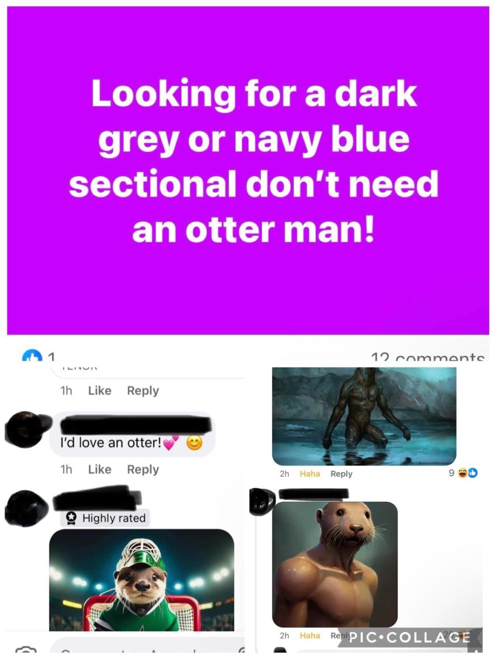 Top text reads "Looking for a dark grey or navy blue sectional don’t need an otter man!" Comments show people humorously discussing otters instead of sectionals