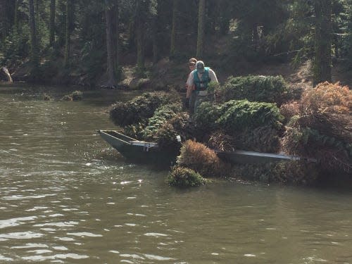 Fisheries biologists place recycled Christmas trees into Mountain Meadows Reservoir in Lassen County to create habitat for juvenile fish.