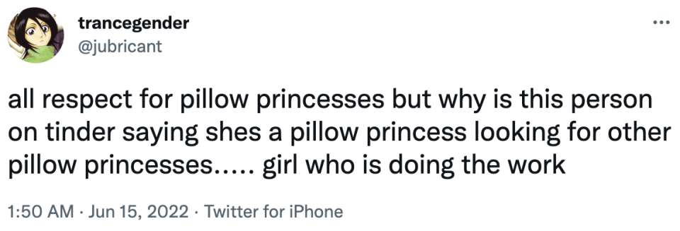 all respect for pillow princesses but why is this person on tinder saying she's a pillow princess looking for another pillow princesses...girl who is doing the work