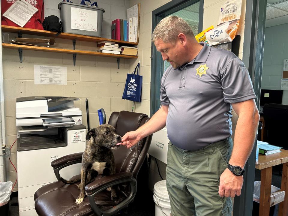 Licking County Chief Dog Warden Larry Williams feeds a treat Wednesday to Crumble, who since April has been at the Licking County Dog Shelter and Adoption Center awaiting adoption. The shelter has cut its adoption fee from $130 to $50 because of overcrowding.