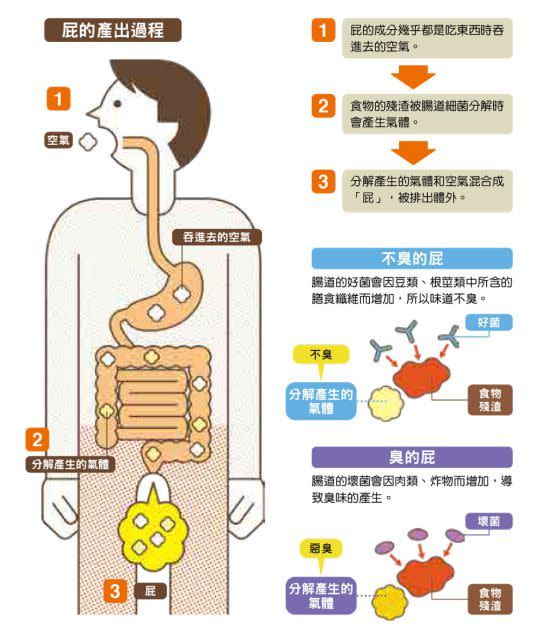 屁有分為臭和不臭的