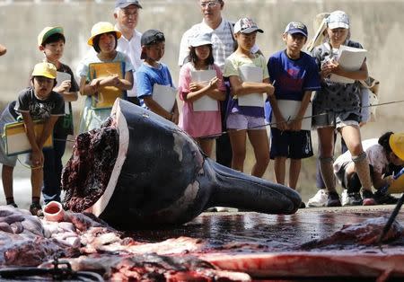 Grade school students and residents watch a carved Baird's Beaked whale at Wada port in Minamiboso, southeast of Tokyo June 26, 2014. REUTERS/Issei Kato/Files