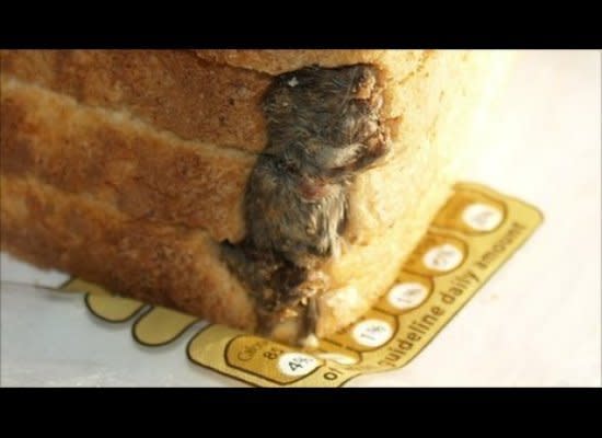 In 2009, a man from Bath, England, found <a href="http://www.huffingtonpost.com/2010/09/30/dead-mouse-found-in-bread-photo_n_745069.html" target="_hplink">a dead mouse in a loaf of bread</a>.